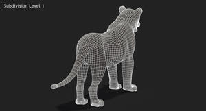 Big Cats 3D Model Animated Thumbnail