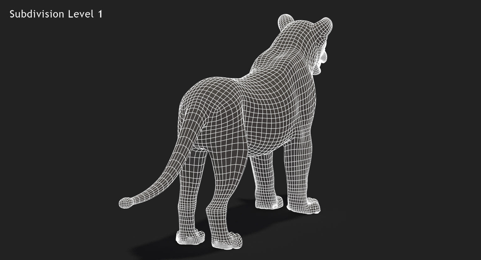 Big Cats 3D Model Animated