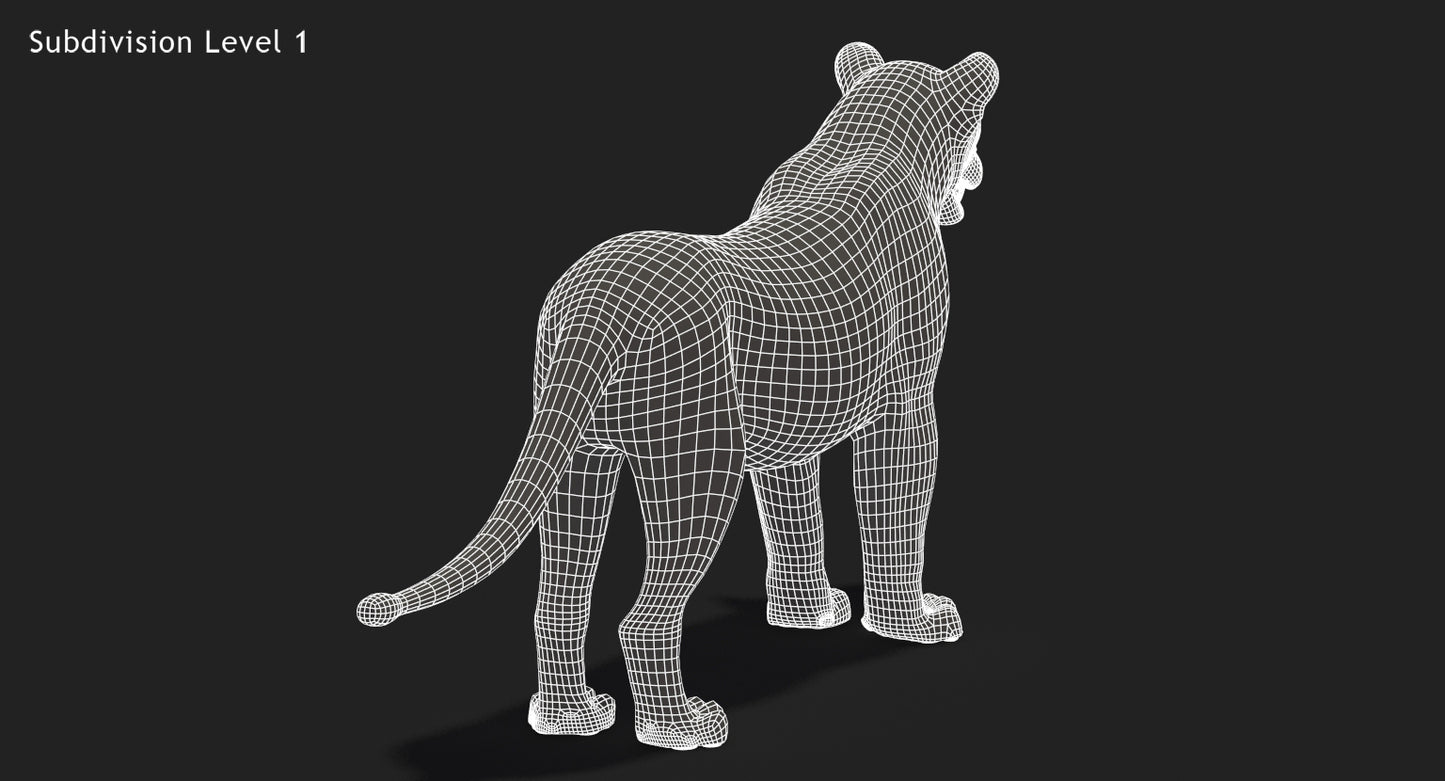 Big Cats 3D Model Animated