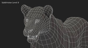 Big Cats 3D Model Animated Thumbnail