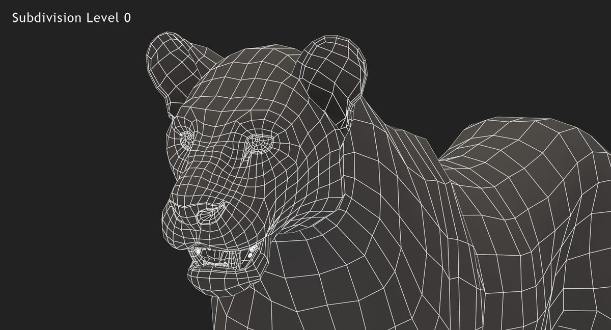 Big Cats 3D Model Animated