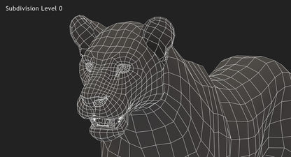 Big Cats 3D Model Animated