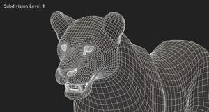 Big Cats 3D Model Animated Thumbnail