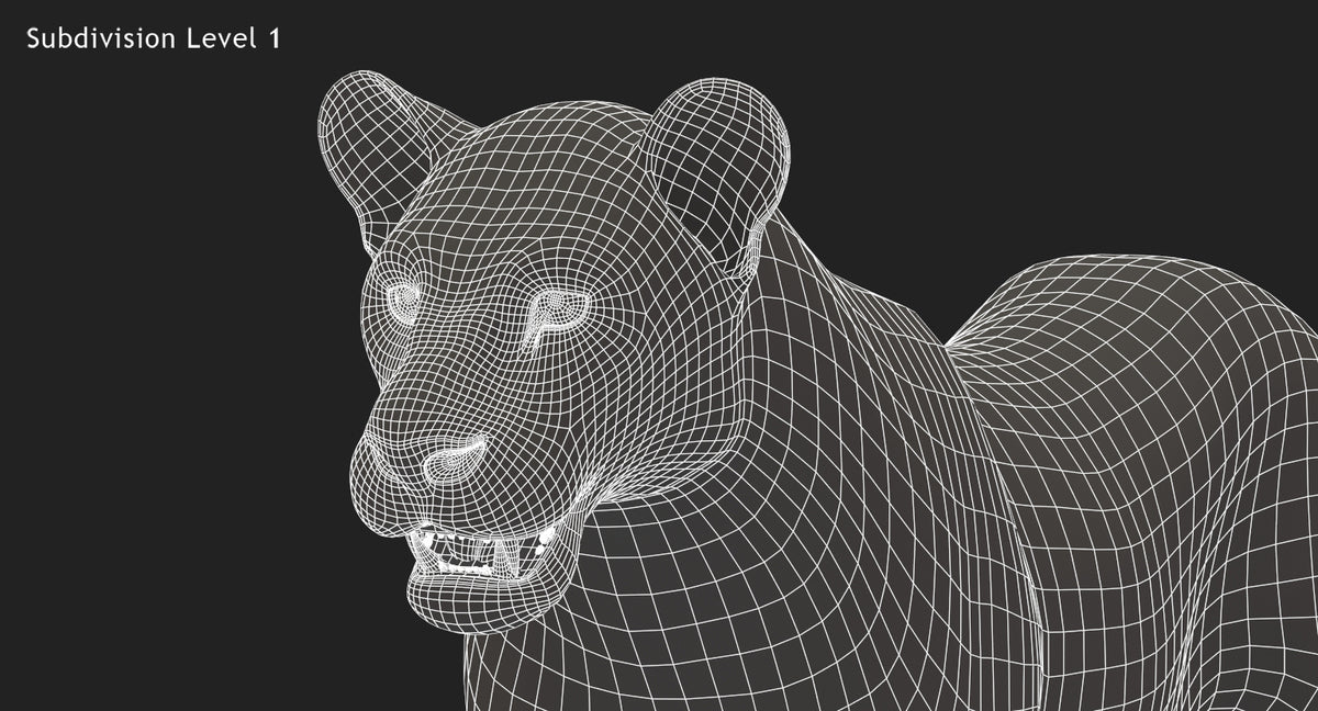 Big Cats 3D Model Animated