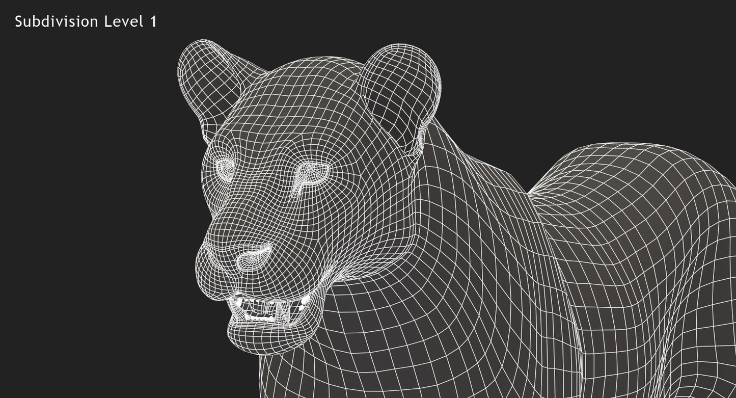Big Cats 3D Model Animated