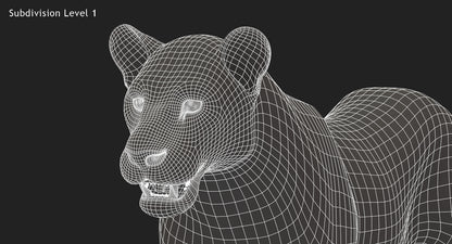 Big Cats 3D Model Animated