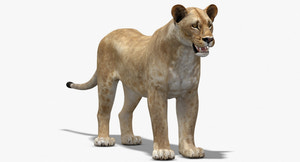 Lioness 3D Model Low Poly Thumbnail