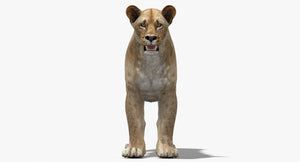 Lioness 3D Model Low Poly Thumbnail
