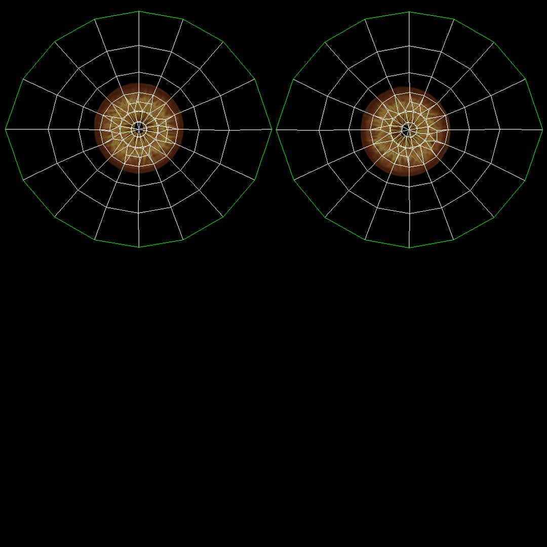 Lioness 3D Model Eyes UVs