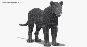 Lioness 3D Model Low Poly Wireframe View 0 Thumbnail