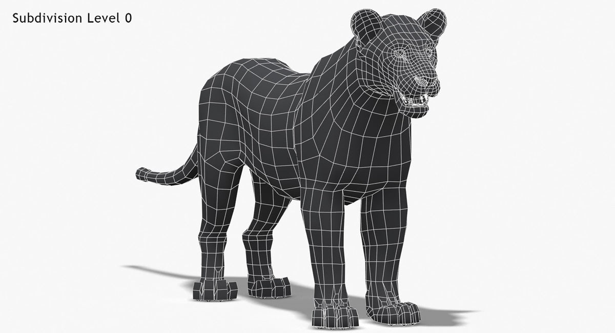 Lioness 3D Model Low Poly Wireframe View 0