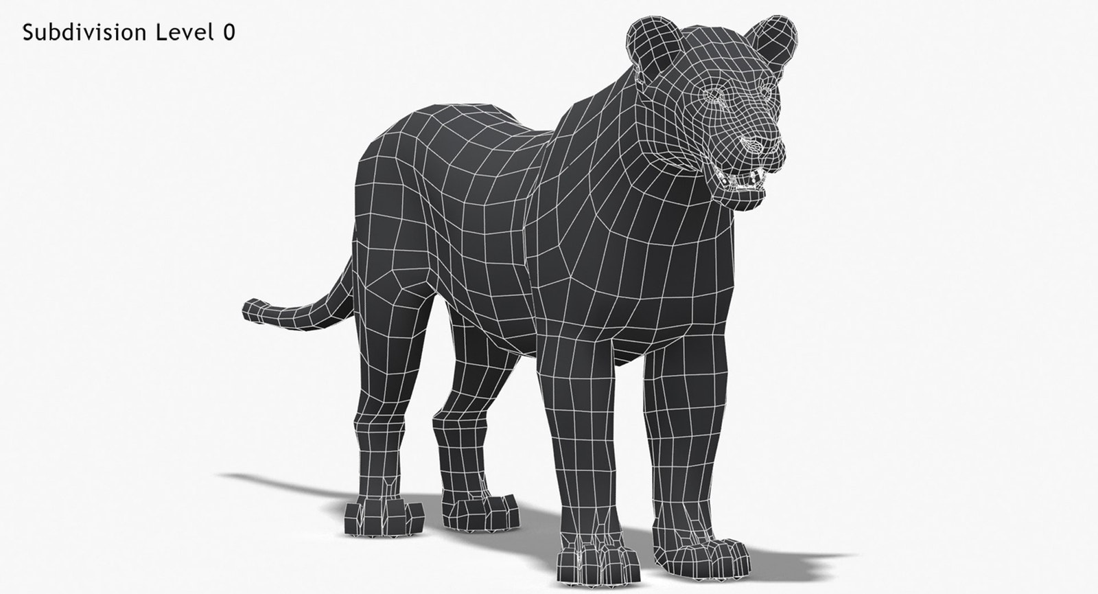 Lioness 3D Model Low Poly Wireframe View 0