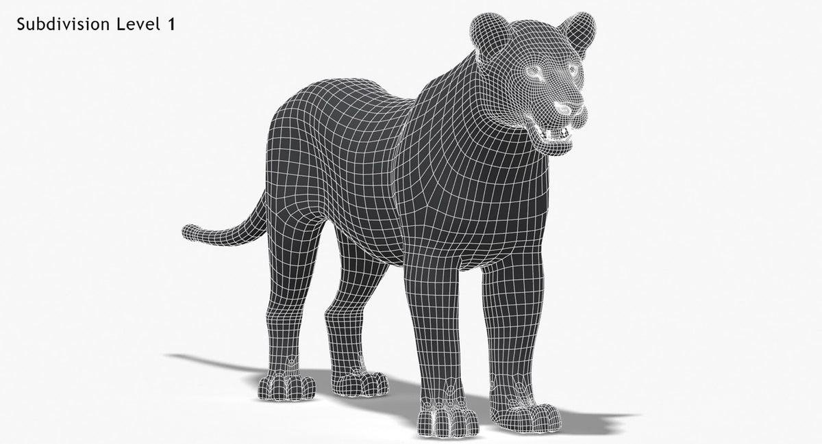Lioness 3D Model Low Poly Wireframe View 1