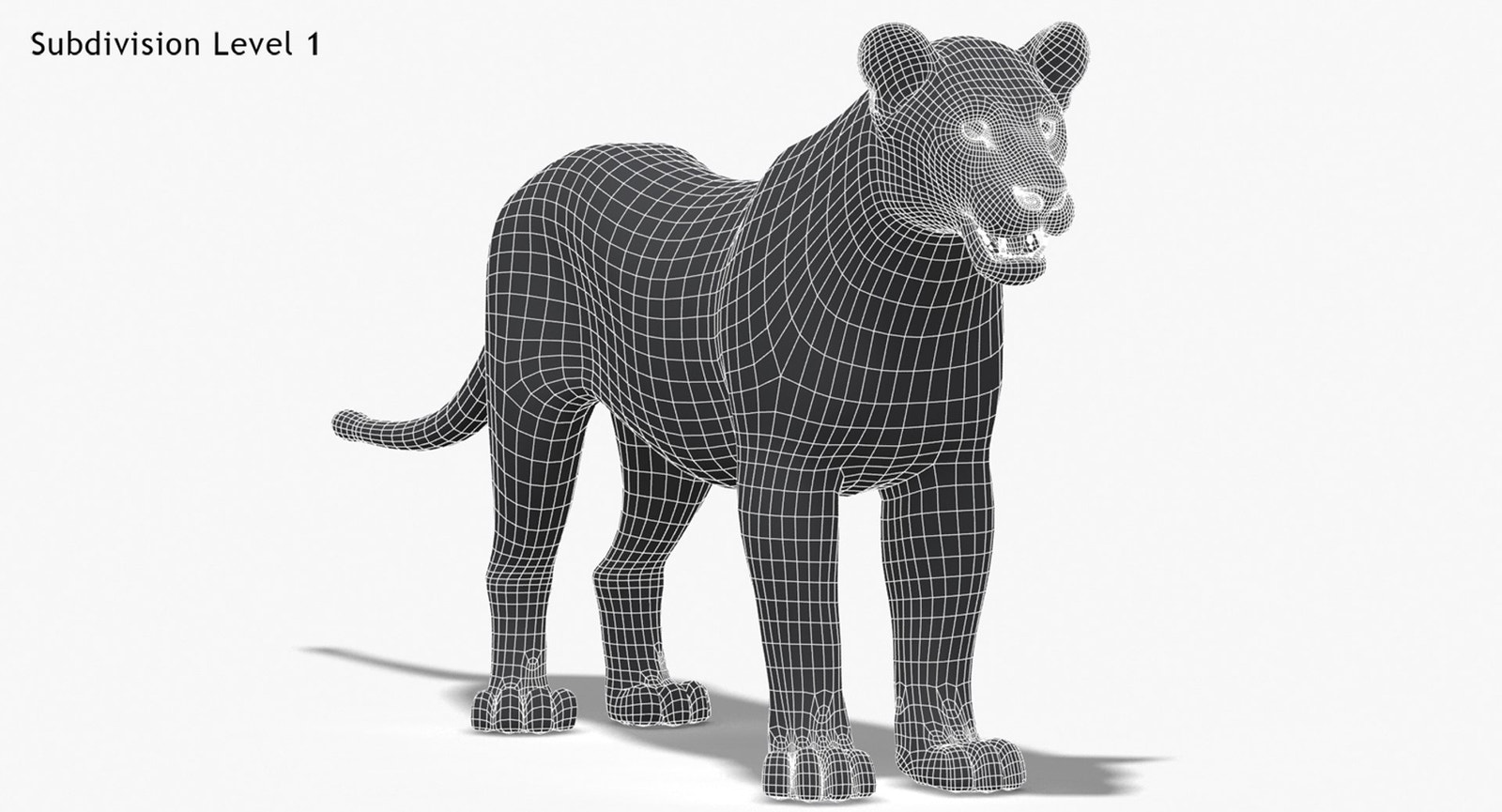 Lioness 3D Model Low Poly Wireframe View 1