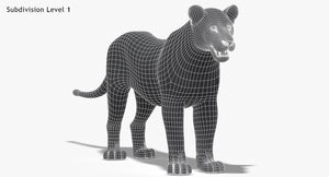 Lioness 3D Model Low Poly Wireframe View 1 Thumbnail