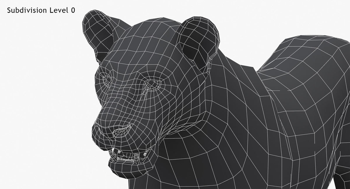 Lioness 3D Model Low Poly Wireframe View 0