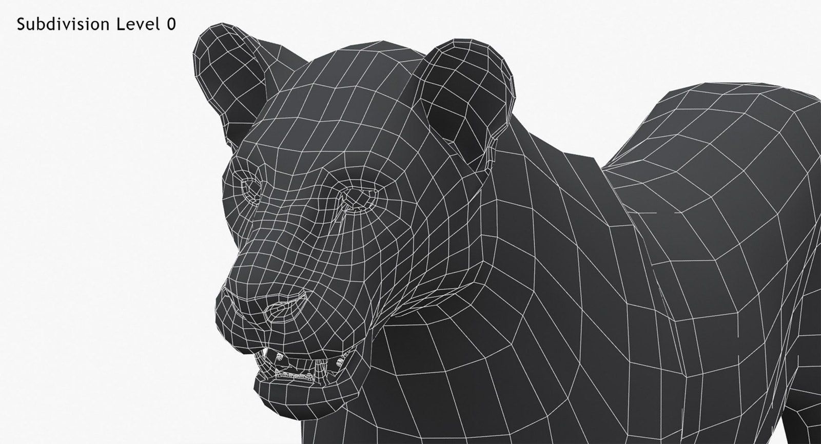 Lioness 3D Model Low Poly Wireframe View 0