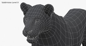 Lioness 3D Model Low Poly Wireframe View 0 Thumbnail
