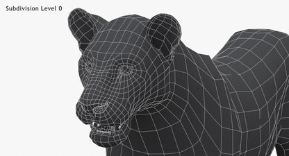 Lioness 3D Model Low Poly