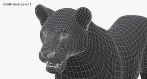 Lioness 3D Model Low Poly Wireframe View 1 Thumbnail