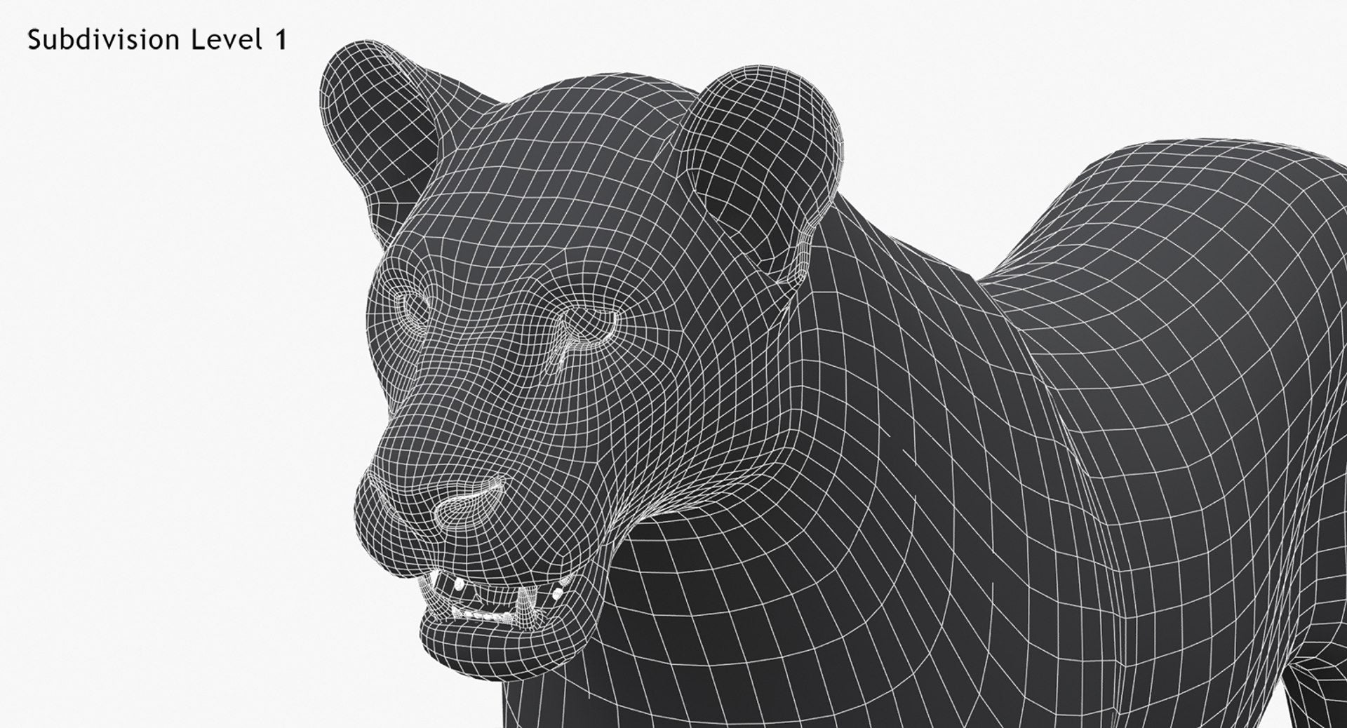Lioness 3D Model Low Poly Wireframe View 1