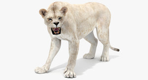Rigged White Lioness 3D Model Thumbnail