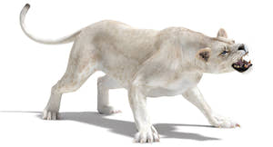 Rigged White Lioness 3D Model Thumbnail