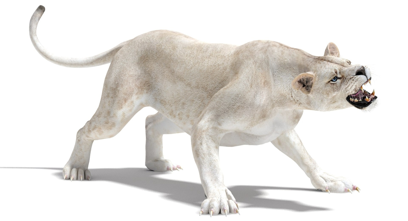 Rigged White Lioness 3D Model