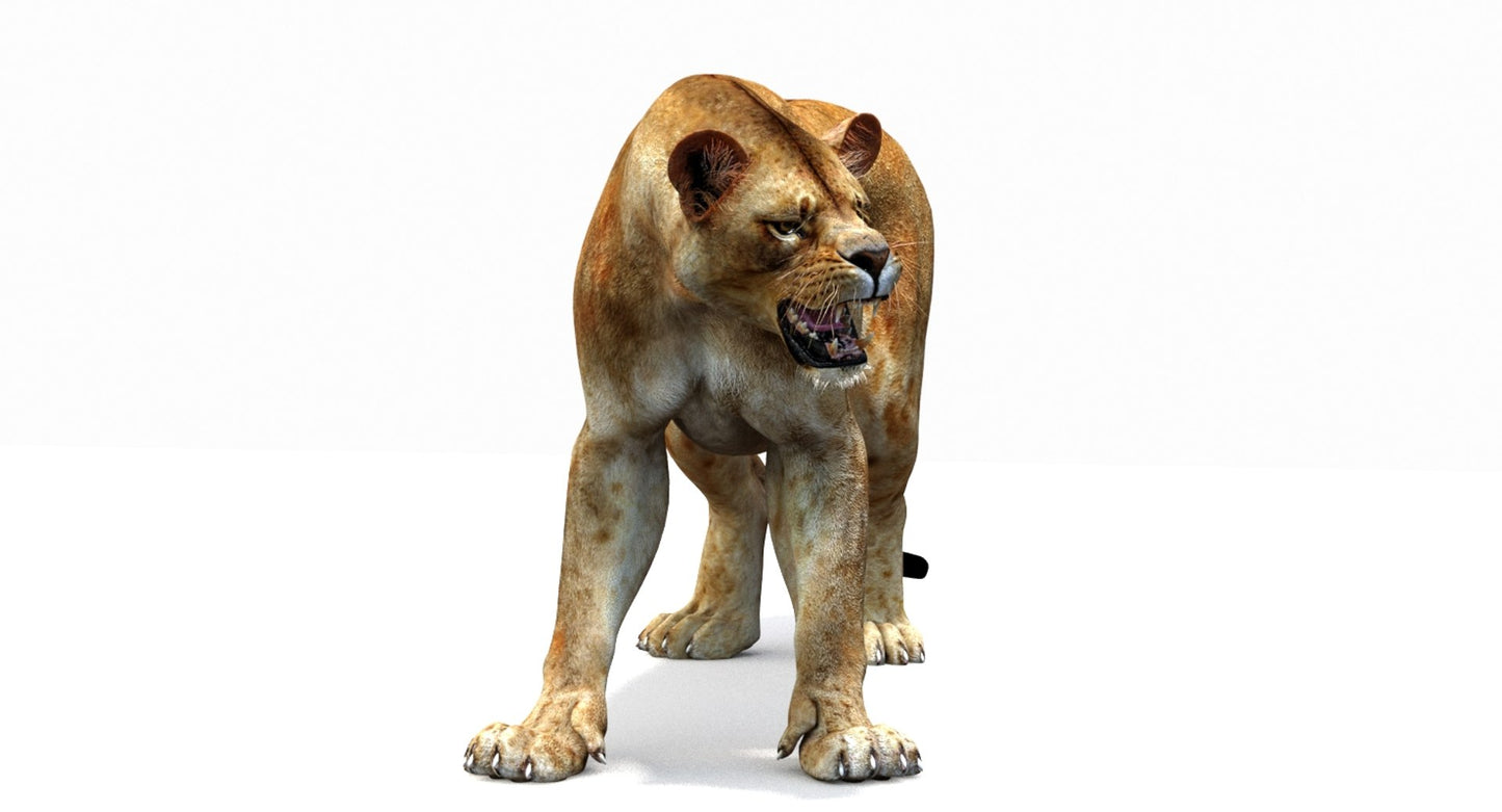 Lioness 3D Model Rigged