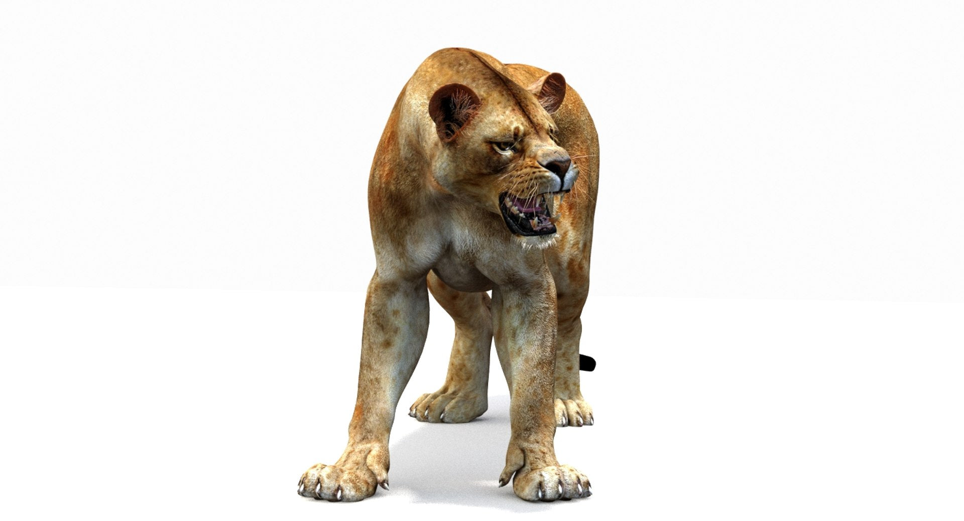 Lioness 3D Model Rigged