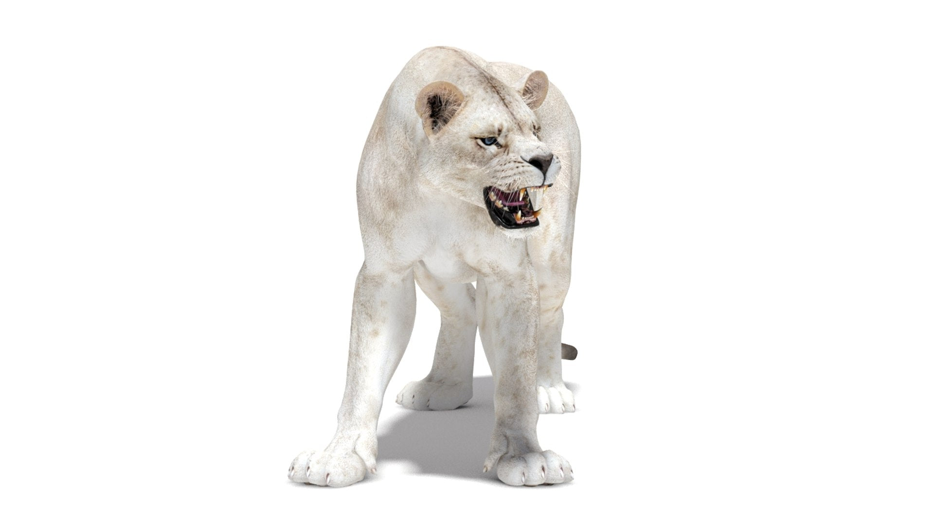 Rigged White Lioness 3D Model — Game-Ready