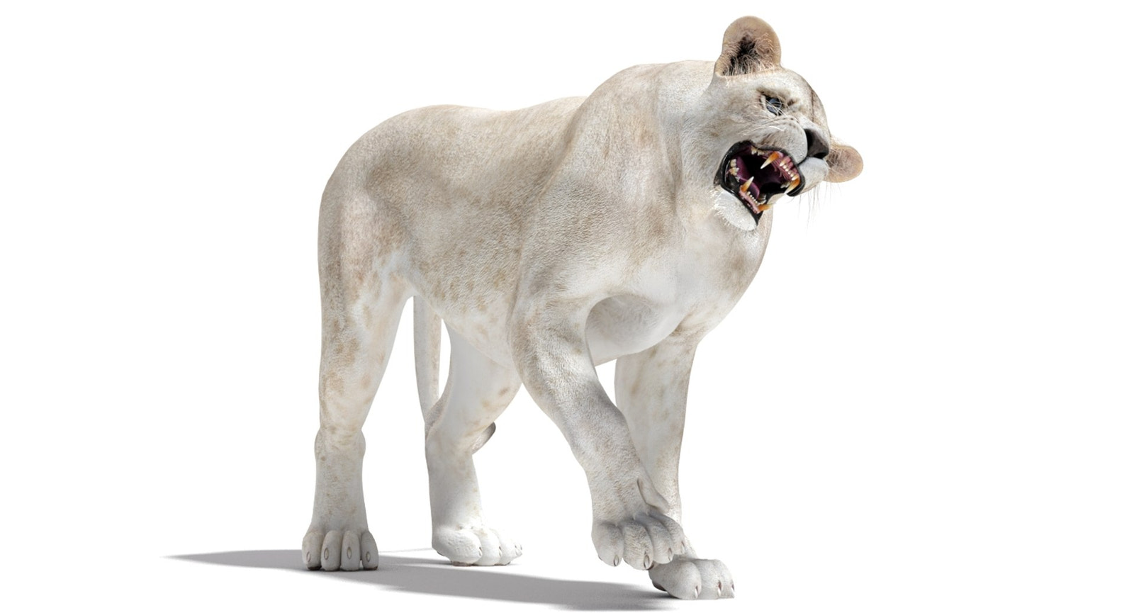 Rigged White Lioness 3D Model — Game-Ready