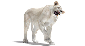 Rigged White Lioness 3D Model — Game-Ready Thumbnail