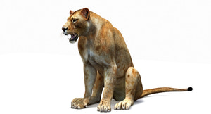 Lioness 3D Model — Rigged and Game-Ready Thumbnail