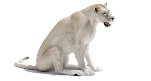 Rigged White Lioness 3D Model — Game-Ready Thumbnail