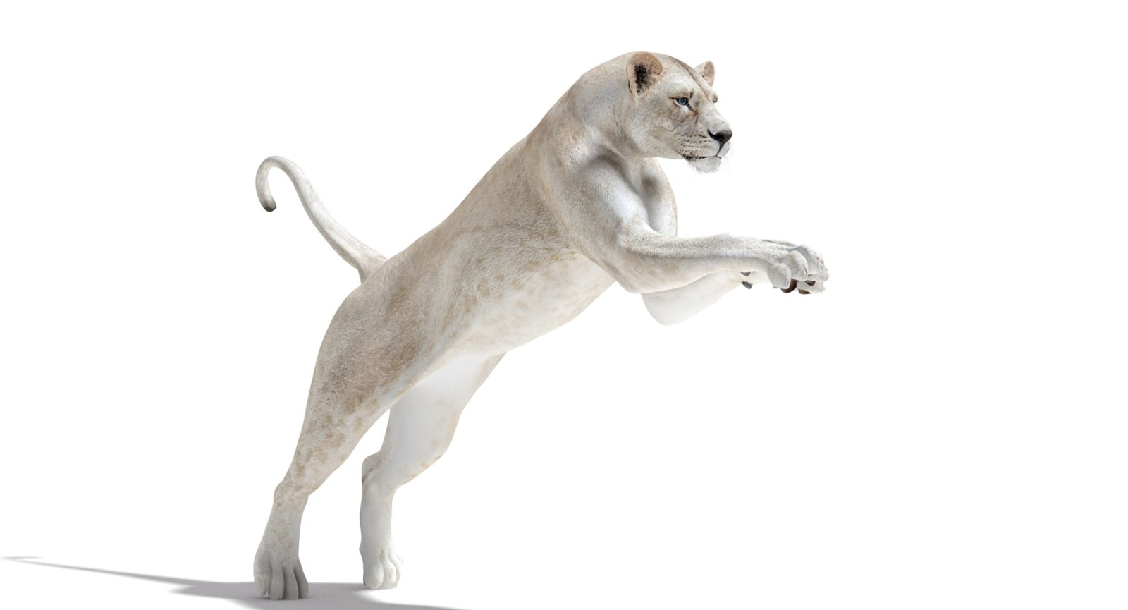 Rigged White Lioness 3D Model — Game-Ready
