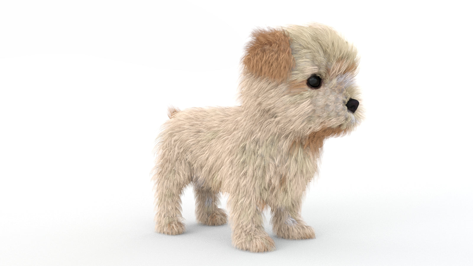 Animated Maltipoo Dog Puppy 3D Model Alpha Hair 360° view 1 frame 6