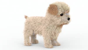 Maltipoo Dog Puppy 3D Model Polygonal Fur Thumbnail
