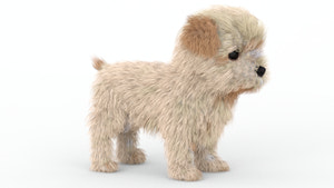 Maltipoo Dog Puppy 3D Model Polygonal Fur Thumbnail
