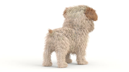 Maltipoo Dog Puppy 3D Model Polygonal Fur