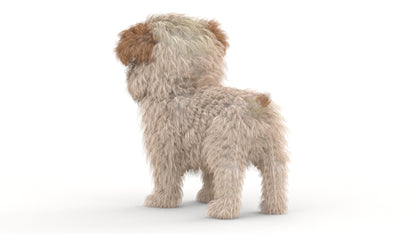Maltipoo Dog Puppy 3D Model Polygonal Fur