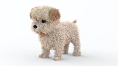 Maltipoo Dog Puppy 3D Model Polygonal Fur