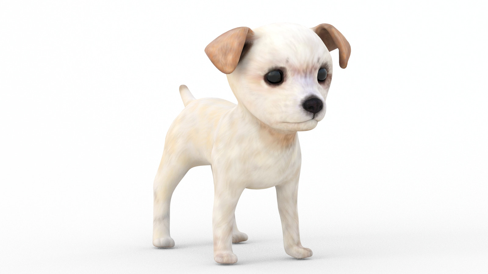 Maltipoo Dog Puppy 3D Model Polygonal Fur