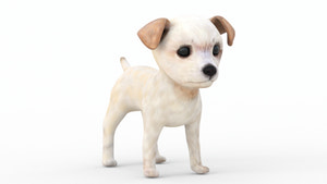 Maltipoo Dog Puppy 3D Model Polygonal Fur Thumbnail