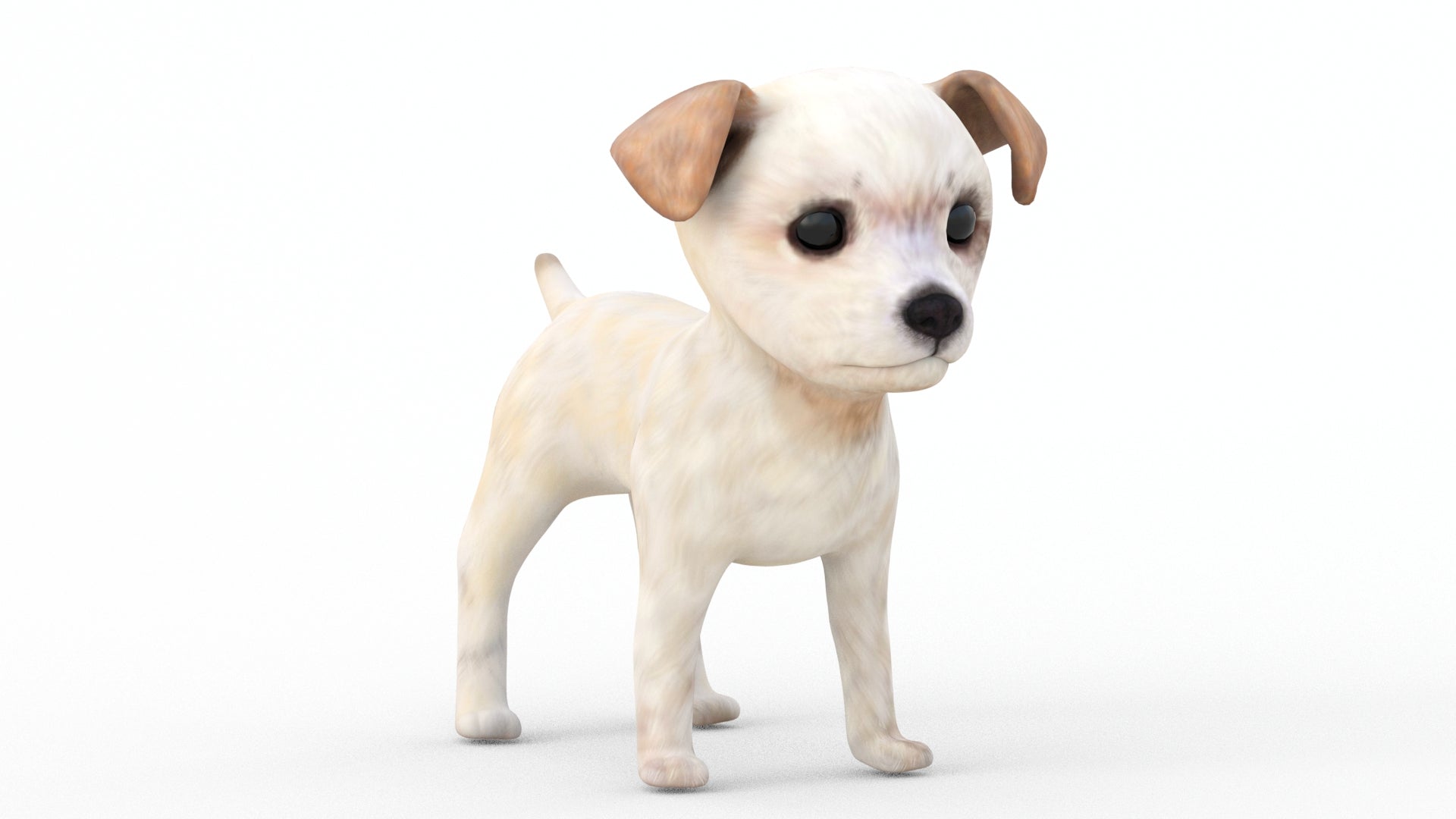 Maltipoo Dog Puppy 3D Model Polygonal Fur