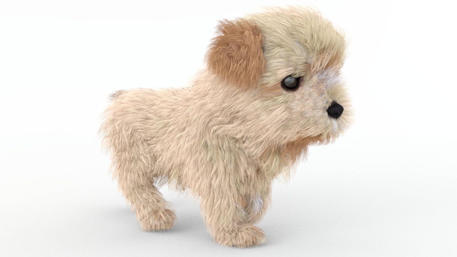 Animated Maltipoo Dog Puppy 3D Model Alpha Hair 360° view 4 frame 3