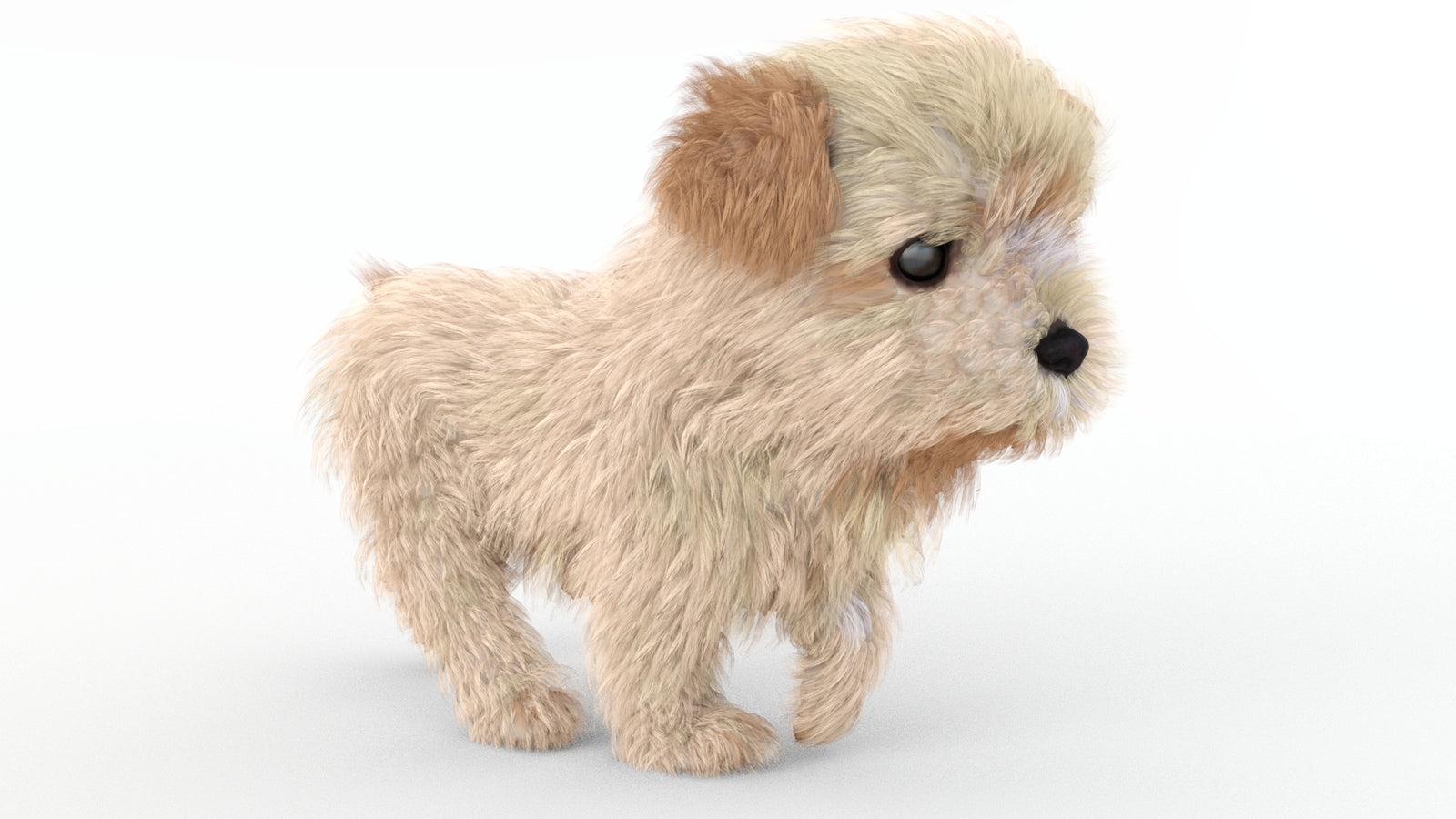 Animated Maltipoo Dog Puppy 3D Model Alpha Hair 360° view 4 frame 6