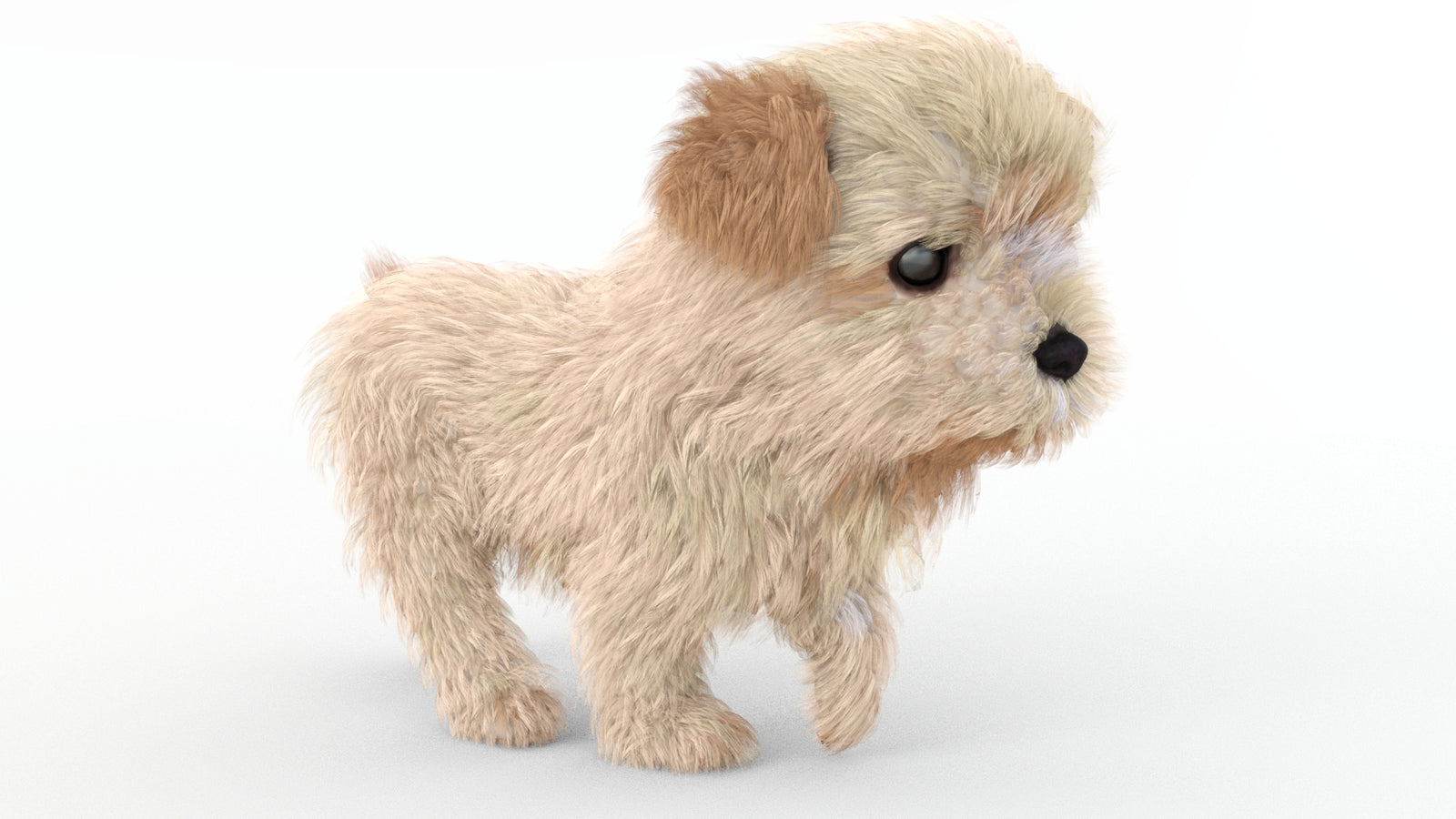 Animated Maltipoo Dog Puppy 3D Model Alpha Hair 360° view 4 frame 7