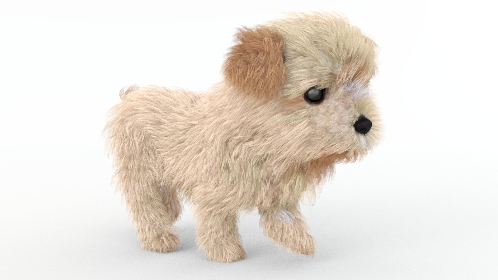 Animated Maltipoo Dog Puppy 3D Model Alpha Hair 360° view 4 frame 9