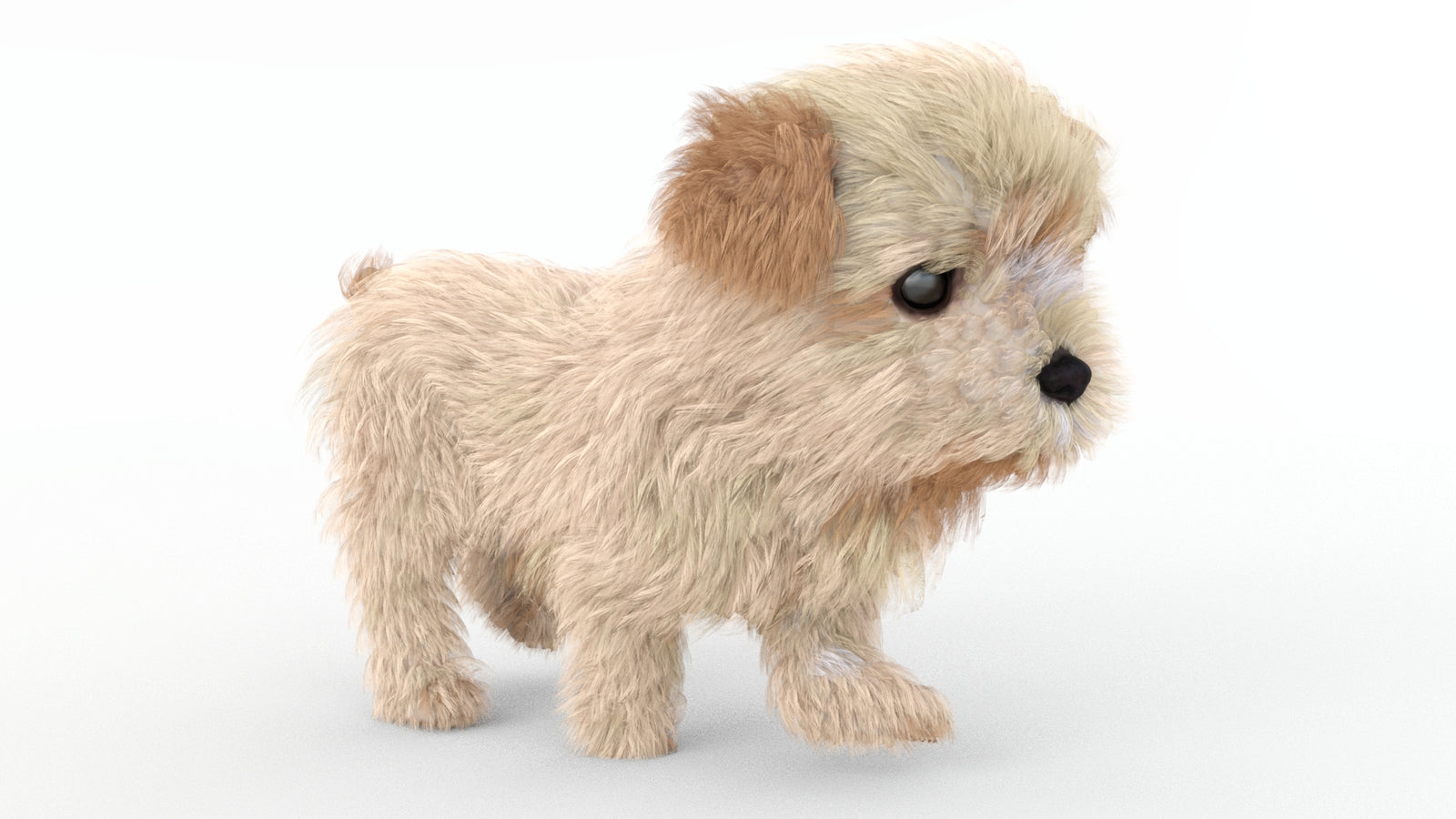 Animated Maltipoo Dog Puppy 3D Model Alpha Hair 360° view 4 frame 11
